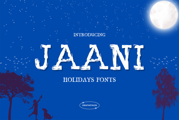 Jaani: The Elegant Display Typeface for Modern Web Design